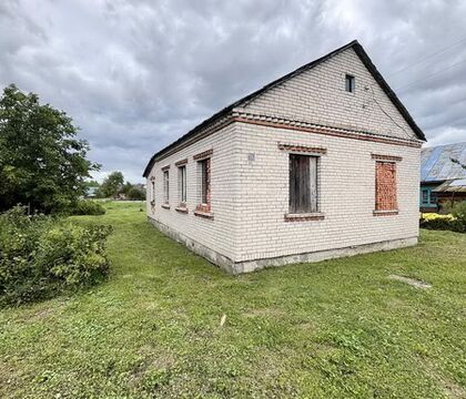 Коробка дома д. Пинковичи - 540070