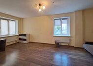 Однокомнатная квартира, Революционная ул. - 560057, мини фото 7