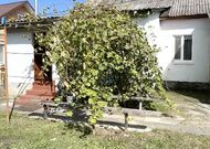 Часть дома в д. Молотковичи - 550138, мини фото 3