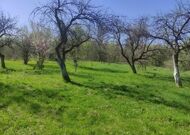 Жилой дом в д. Дубое - 540062, мини фото 5