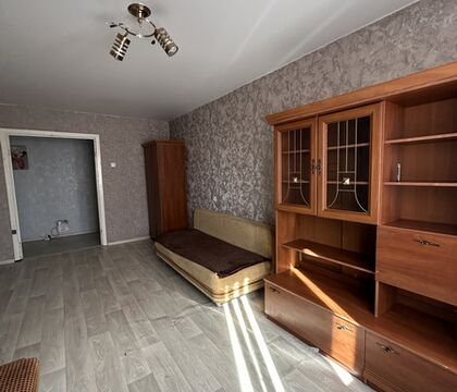 Однокомнатная квартира, Центральная ул. - 560027